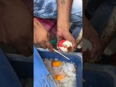 Real Fruit Stuffed Wali Kulfi