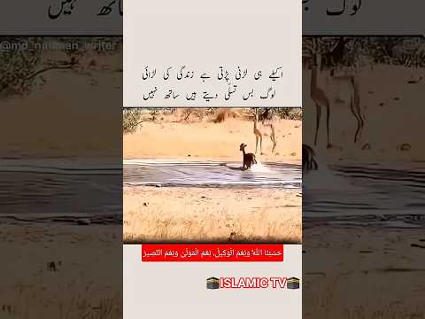 Koi Duniya❣️Mere Aaqa💕#status #youtubeshorts #trending #tiktok #ytshorts #shorts #reels #viral #fyp