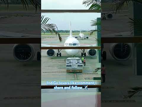 IndiGo x SriLankan Airlines #shorts #indigo #srilankanairlines #tamilmusic #chennai #airport #phonk