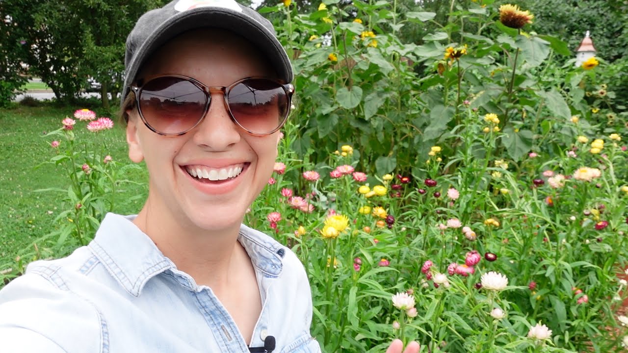 Succession Planting Fall Flowers, Underwhelming Floral Ice Bucket, Planting Baby Kim- Lilacs