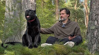 We said goodbye to summer with a walk by the river with Luna the panther 😸(ENG SUB)