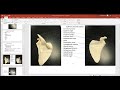 Human Anatomy and Bone Structure
