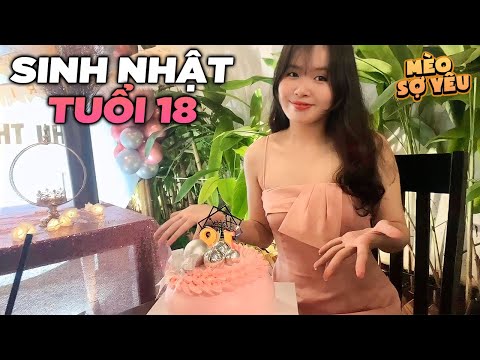 Mèo Sợ Yêu Đón Sinh Nhật Tuổi 18 Rồi Làm Điều Này Và Cái Kết