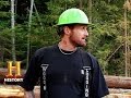 Understanding Workplace Dynamics
