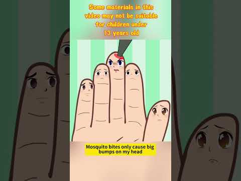 The Misfortunes of the Middle Finger@FunnyBai.animations