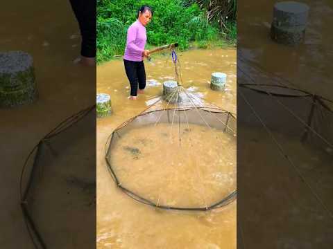 #fishing