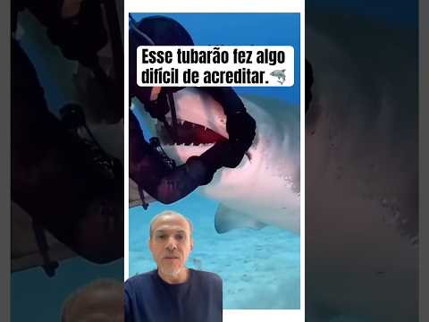 😯Você vai ficar impressionado com o que ele fez.🦈🐳