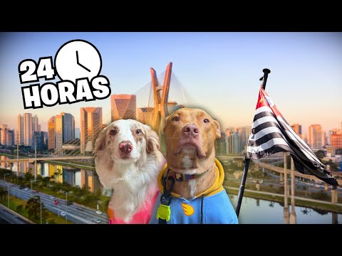 Um Dia Inteiro Com Os Cachorros em São Paulo: Votação, Restaurante e Parque!