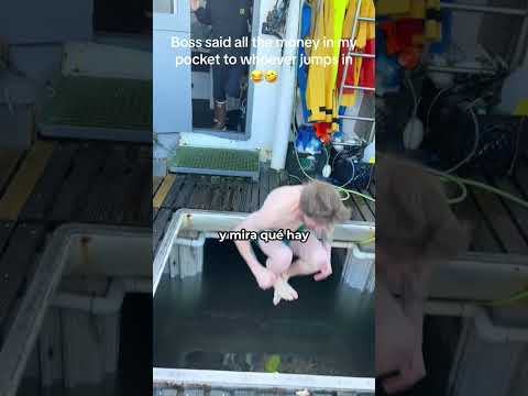 Yo No Entraría Al Agua 😨
