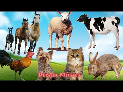 Farm Animal Symphony: Horse, Goat, Sheep, Rooster, Rabbit, Cow - Animal Videos