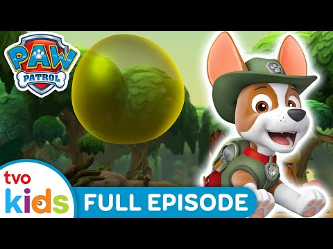 Pups and the Stinky Bubble Trouble | 🐾 PAW PATROL 🐶 | Rescue Dogs Save the Day🏡 | Season 6 | TVOkids