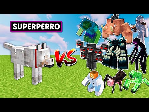 SUPER PERRO VS TODOS LOS JEFES DE MINECRAFT - Videos de minecraft