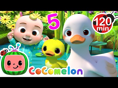 Count 5 Little Ducks with Baby JJ! 🐤 | CoComelon Nursery Rhymes and Kids Songs | Animals for Kids