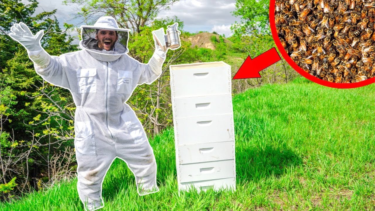 I BOUGHT 25, 000 HONEY BEES for My NEW FARM (Bad Idea)