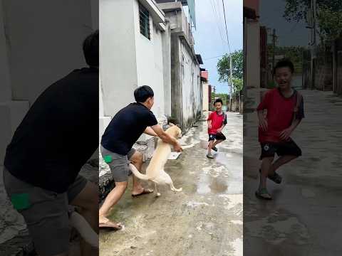 Thằng em bị chậm phát triển và cái kết #videoshort