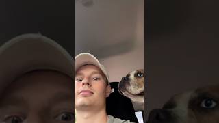 Shelter Dog Was Returned Again and Again Until One Guy Stepped In | The Dodo