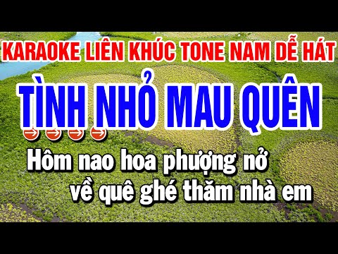 Karaoke Liên Khúc Nhạc Sống Tone Nam Cha Cha | Tình Nhỏ Mau Quên