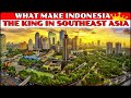 Indonesia's Economic Landscape and Challenges