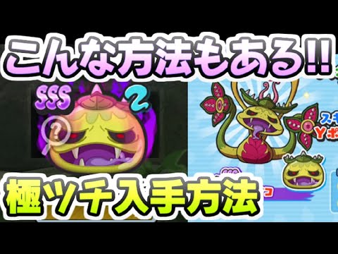 ぷにぷに 極ツチノコ入手チャンスいっぱいあるから絶対に入手狙うべき！　妖怪ウォッチぷにぷに　レイ太