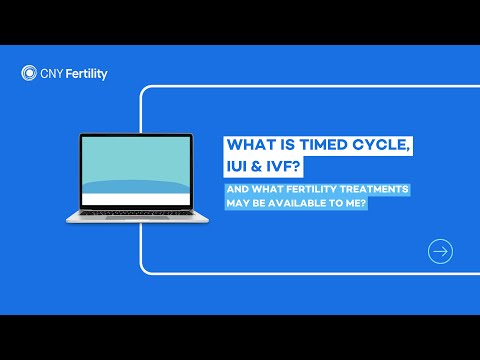 What is Timed Cycle, IUI & IVF, and what treatment types may be available to me?