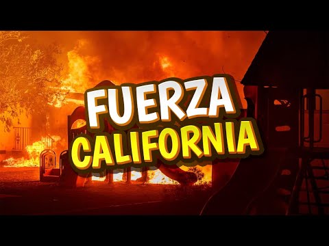 MUCHA FUERZA CALIFORNIA