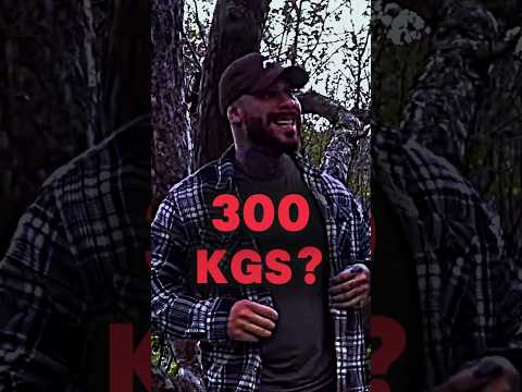 O BITELO BRINCOU COM 300 KGS 😮 #bitelo #powerlifting