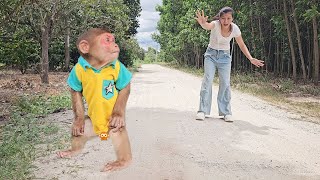 Monkey Su little trouble on the road! What happened?
