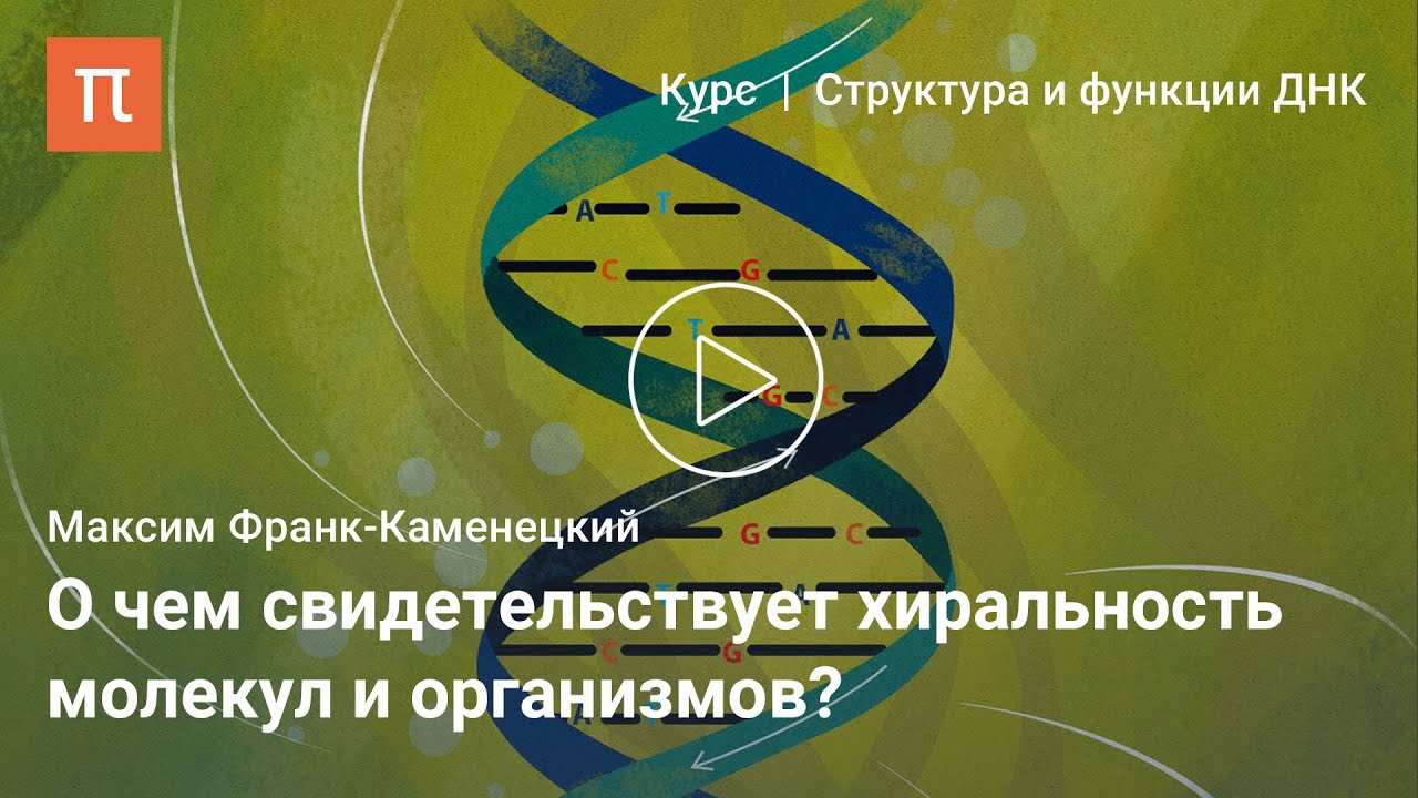 Асимметрия биологических молекул - Максим Франк-Каменецкий