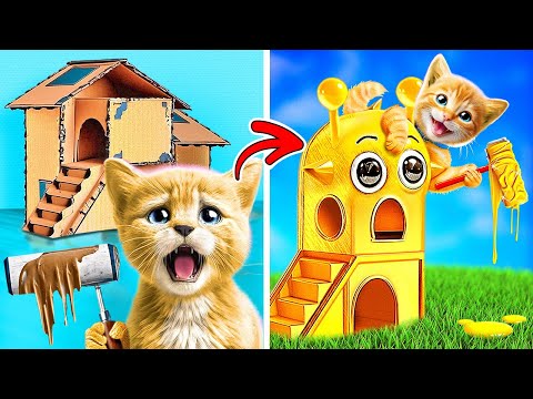 Save Poor Kitty 😭 *Build A Secret room For Pets Using Easy Cardbord Crafts*