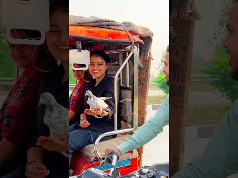 😯🕊️कबूतर देखकर लड़की खुश हो गई🥰#dosti #kabootar #shorts #video #training #pigeon 😊😍#video