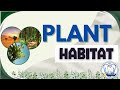 Plant Habitats and Adaptations