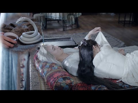 🐲 遇龙速看ep01|流萤救下了一条可爱的小白蛇，谁知它竟在夜里变成了一个大帅哥爬上了她的床【 Miss The Dragon】