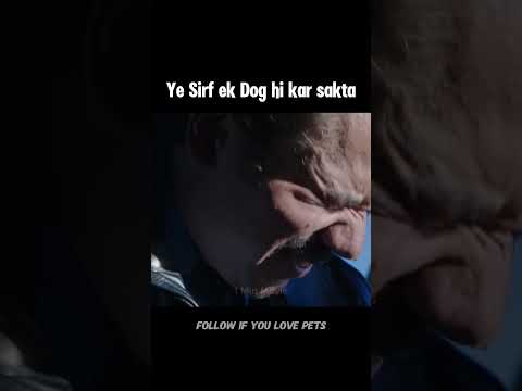 DOG Se Aesa Kardia K Sbki Aankhaon Me Aansu Aagay #movie #shortsfeed #explained