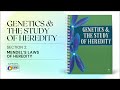 Mendelian Genetics Concepts