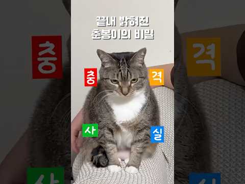 춘봉아 조끼 안 잠긴다 너