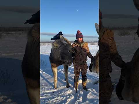 Можно и поласкаться ☺️
