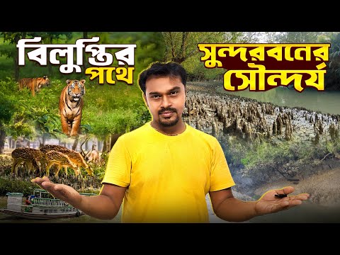 বিলুপ্তির পথে সুন্দরবনের সৌন্দর্য | Sundarban Tour | Sundarban Tour Package | Sundarban Tiger