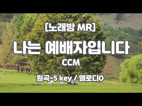 [하다지노래방/멜로디O] 나는 예배자입니다 MR (C 원곡-5key) / 하다지MR