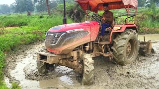 Solis 4wd Tractor Working In Mud For Farming In Village | Mahindra And Swaraj Tractor Working In Mud