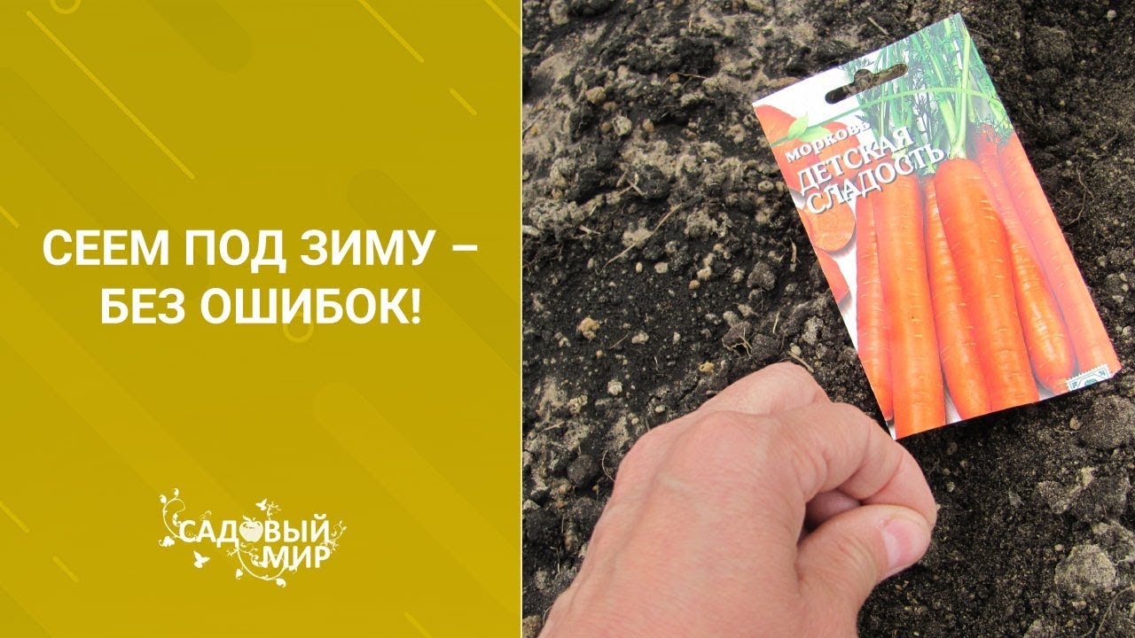 Сеем под зиму без ошибок!