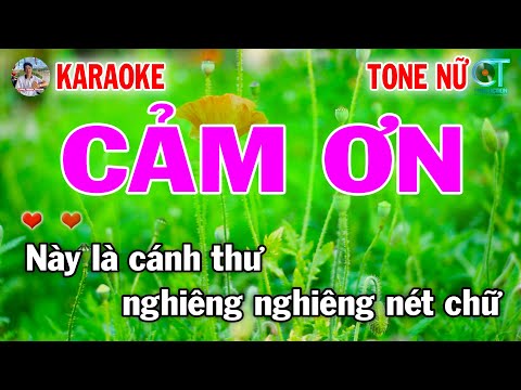 Karaoke Cảm Ơn Tone Nữ | Nhạc Xuân 2025