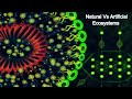 Artificial vs Natural Ecosystems
