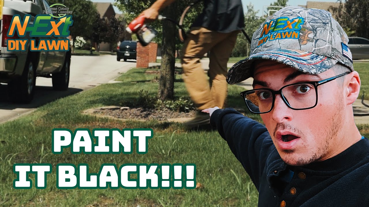 How to Use N-Ext™ RGS & humic12 to FIX NEW Seeded Spots in lawn// N-Ext™ DIY Lawn Care Tips