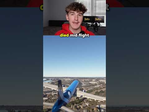 What happends if Both Pilots Die? #aviation #pilot #planecrash #msfs2020 #nikalasvr #foryou #fyp