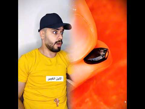 #funny #video #fyp #العيله الاردنيه لما تشتري 😂😂😂..جاهززززين لرمضان و فيديوهات رمضان حبايب قلبي