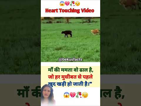 मां की ममता वो ढाल है,जो हर मुसीबत से पहले खुद खड़ी हो जाती है 🥀🥺| MOTIVATIONAL VIDEO #shorts #trend