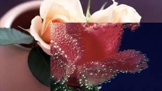 Frank Duval   Ballade pour Adeline