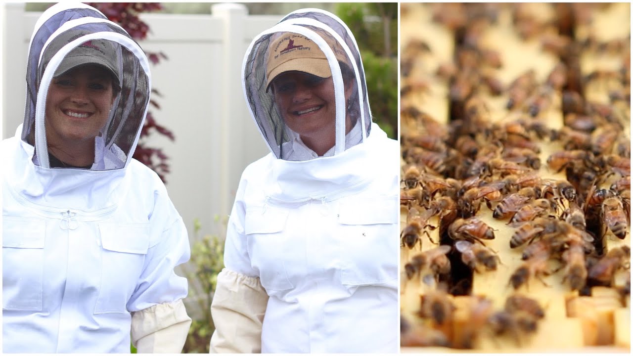 Backyard Beekeeping #13