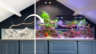 6 Months Inside a Giant Saltwater Paludarium (Compilation)