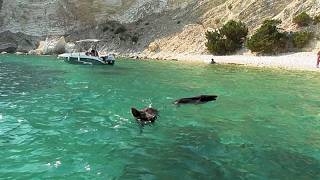 YouTube video thumbnail: Atokos: The Tiny Greek Island Where People and Wild Boars Swim in the Sea and Sunbathe Together